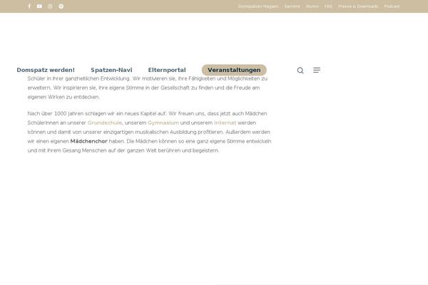 Salient theme site design template sample