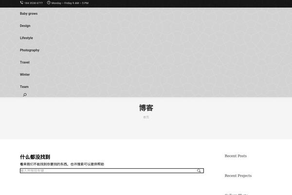 WordPress website example screenshot