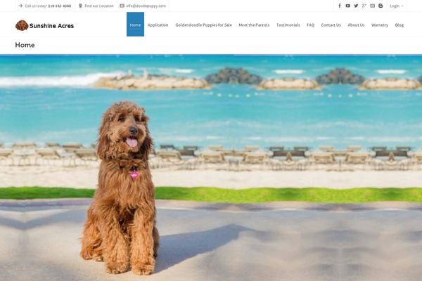 Highend theme site design template sample