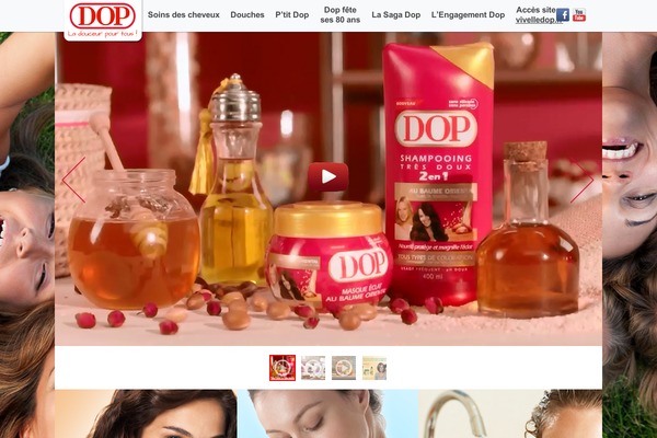 dop WordPress theme, websites list used dop theme dop theme websites examples
