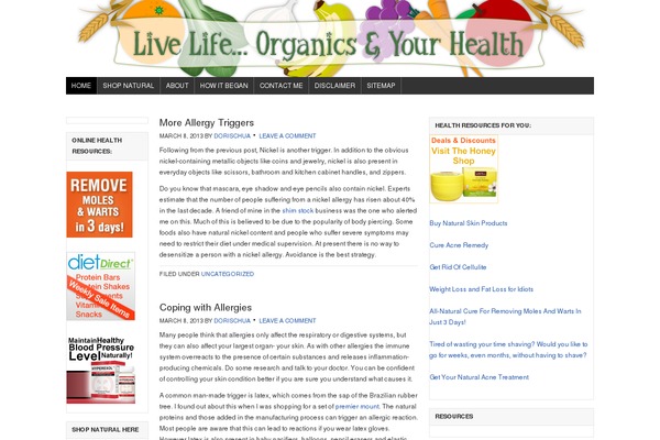 Flatsome theme site design template sample