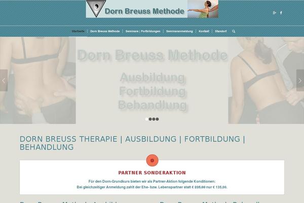 Site using All in One SEO Pack plugin