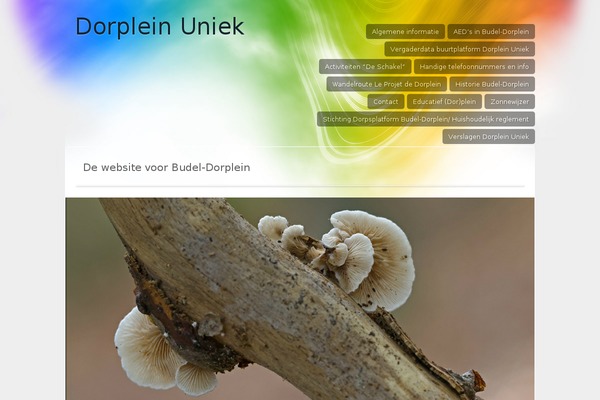 dorpleinuniek.nl site used Spectrum-wpcom