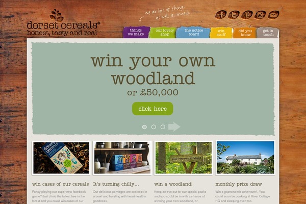 dorset theme websites examples