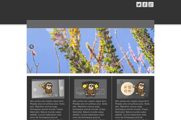 Fresh Lite theme site design template sample