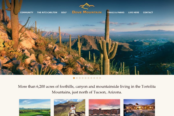 Site using Gravityforms plugin