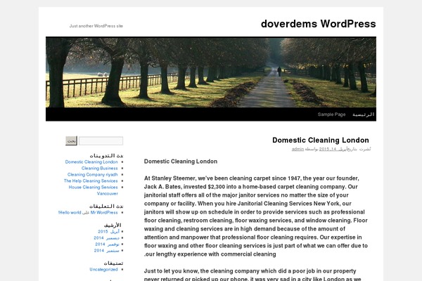 WordPress website example screenshot