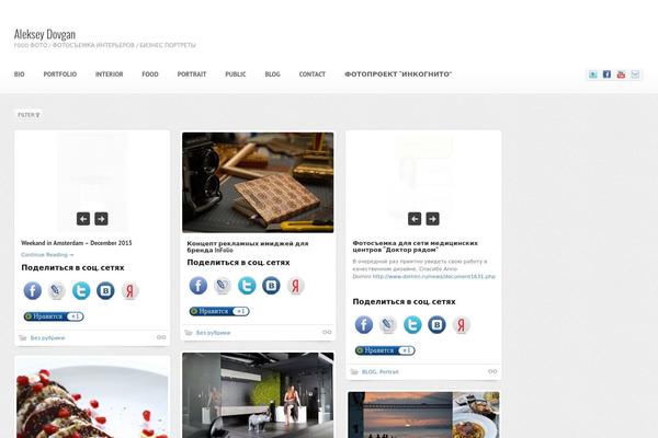 Shaken Grid Premium theme site design template sample