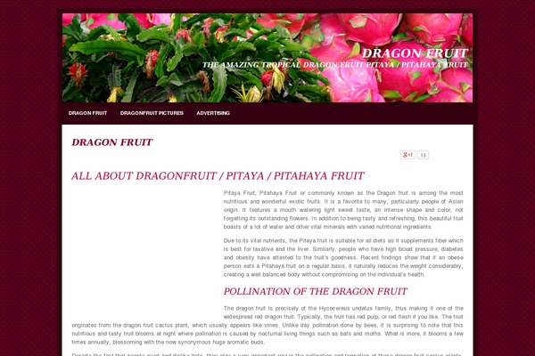 dragon-fruit.biz site used Dragonfruit