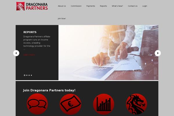 dragonarapartners.com site used Executive Pro Theme
