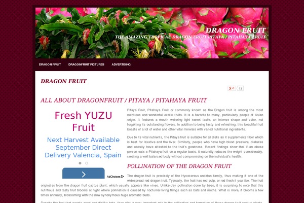 dragonfruitpitaya.org site used Dragonfruit