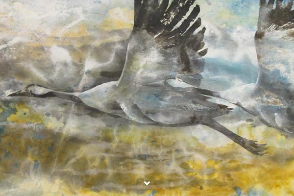 Virtue Premium theme site design template sample