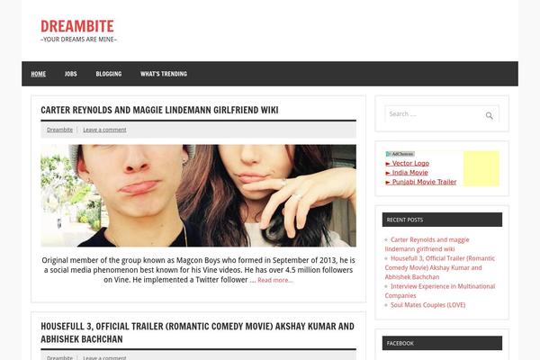 Dynamic News Lite theme site design template sample