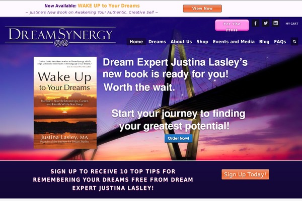 dreamchild WordPress theme, websites list used dreamchild theme dreamchild theme websites examples