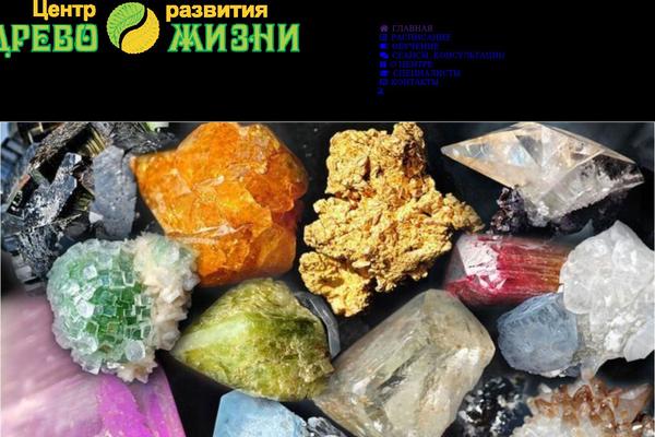 Avada theme site design template sample