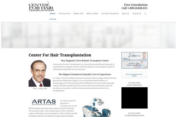 WordPress website example screenshot