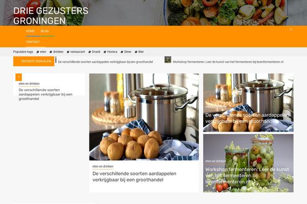 driegezustersgroningen.nl site used Magcess