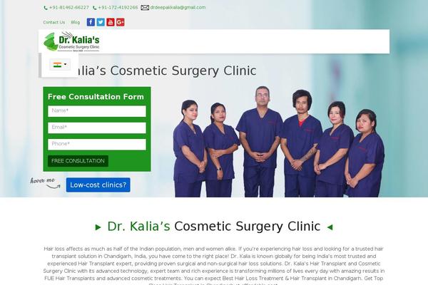 WordPress website example screenshot