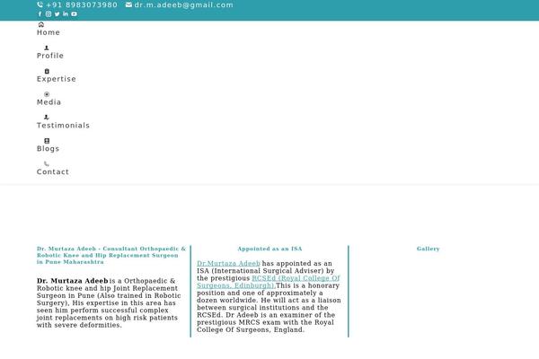 Site using Tenweb-speed-optimizer plugin