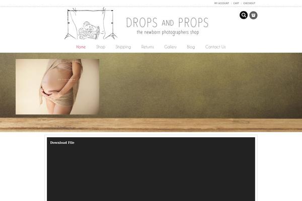 bearstore theme websites examples