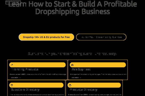 dropshipping.com site used Dropshipping