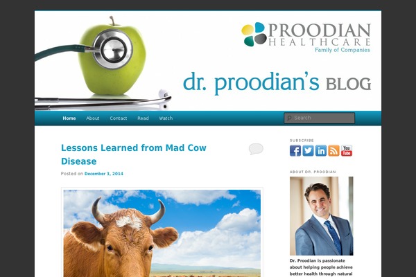 WordPress website example screenshot