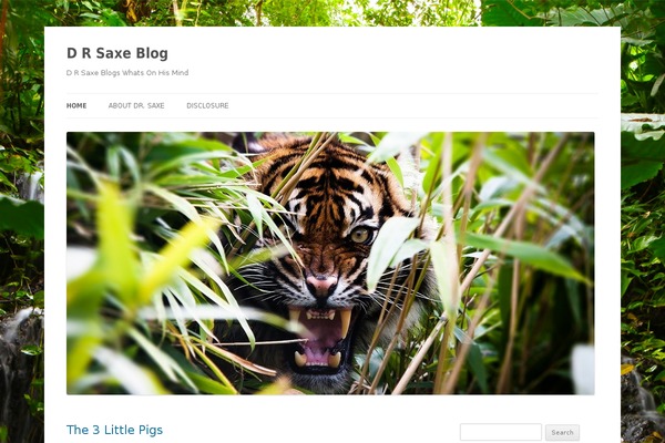 WordPress website example screenshot