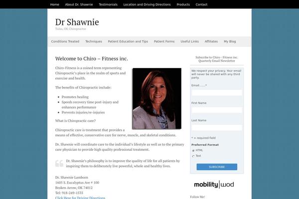 WordPress website example screenshot