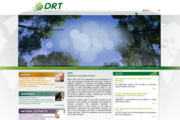 drt.fr site used Drt-child
