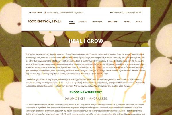 Highend theme site design template sample