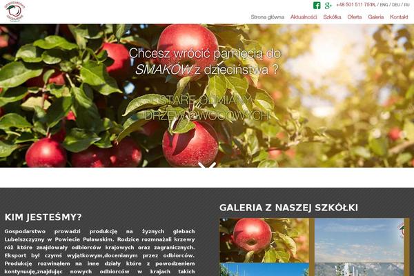 WordPress website example screenshot