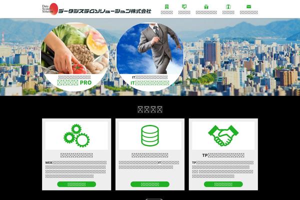 ds-solution.co.jp site used Dss