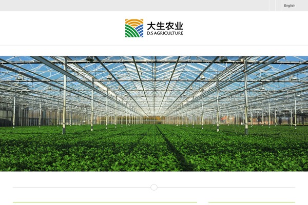 Avada theme site design template sample