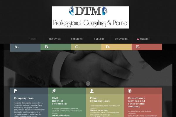 dtmprofessionalconsulting.com site used Theme45828