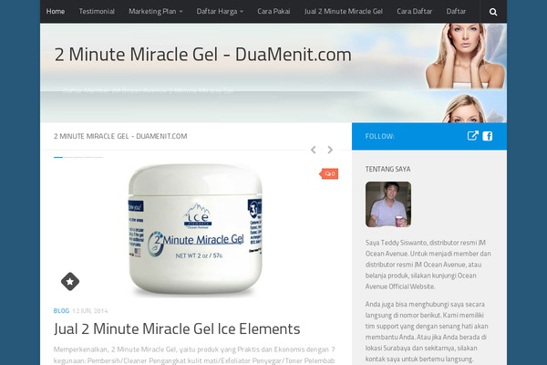 WordPress website example screenshot