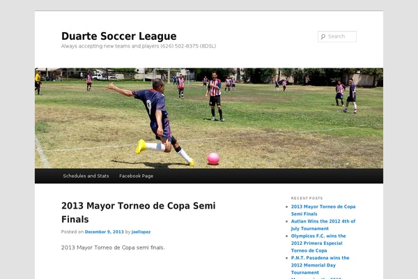 WordPress website example screenshot
