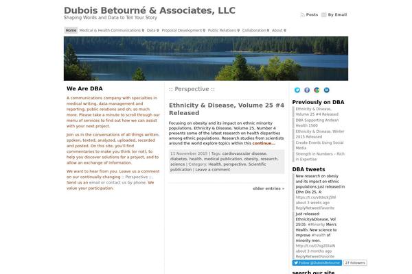 WordPress website example screenshot