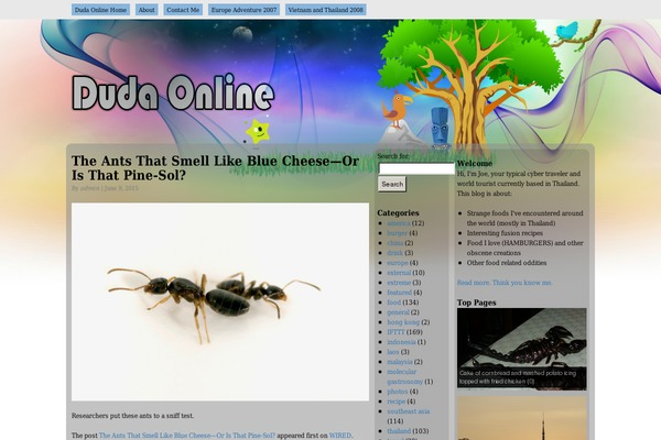 WordPress website example screenshot