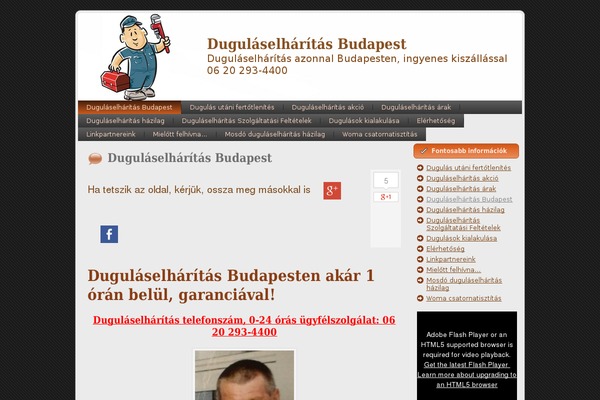 dugulaselharitas1.org site used Handyman_to_repair_bue132