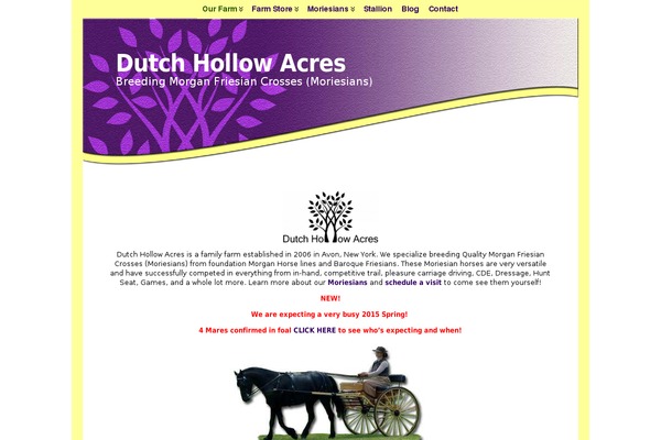 Atahualpa theme site design template sample