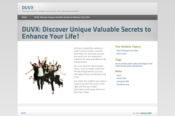 duvx.com site used Clearity