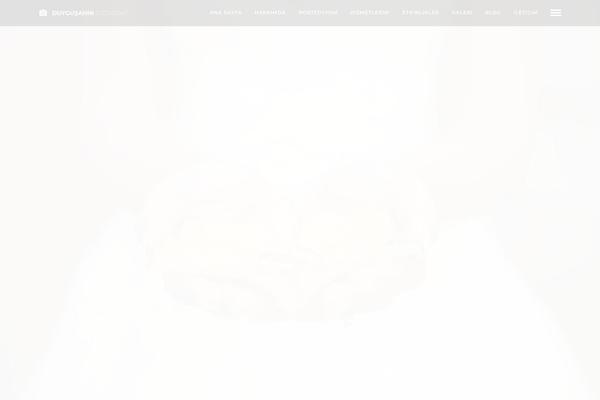 Photography theme site design template sample