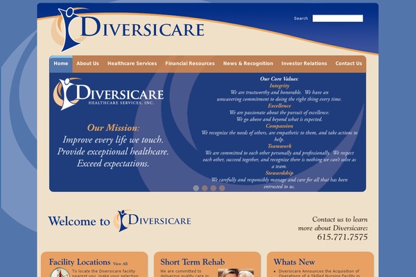 DVCR theme websites examples