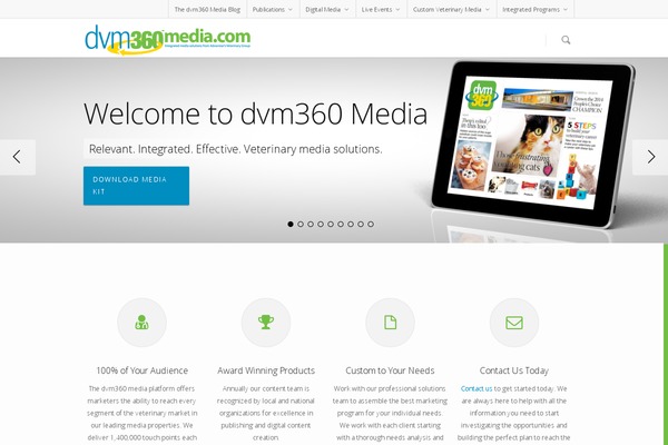 Salient theme site design template sample