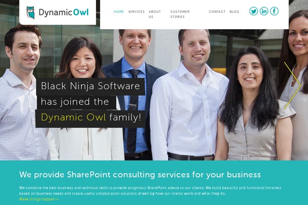 dynamicowl.com site used Dynamicowl