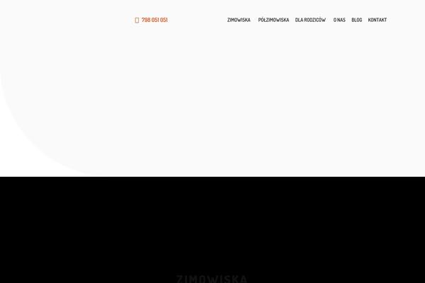 Site using Widget-options plugin