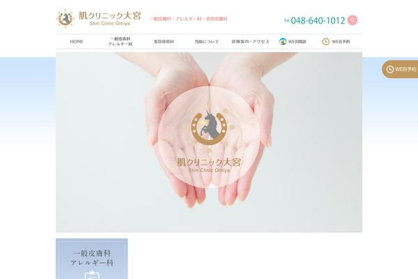 e-hifu.jp site used E-hifu_ver2