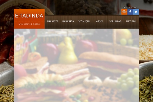 e-tadinda theme websites examples