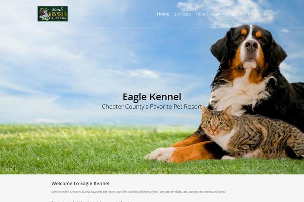 Salient theme site design template sample