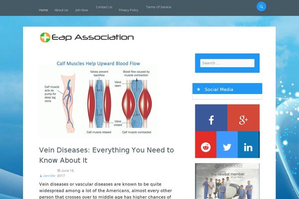 eap-association.org site used Material Gaze